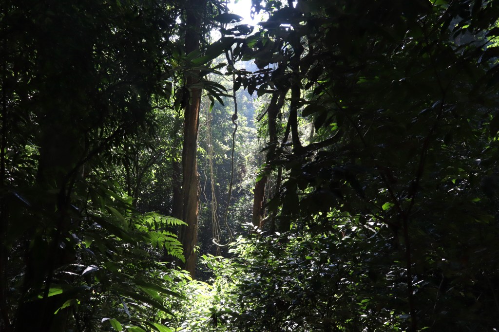 Take the banana and&nbsp;run